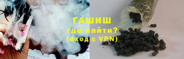 стаф Инта