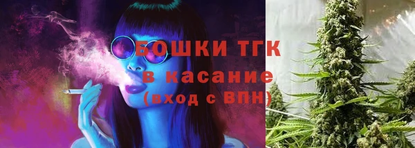 спиды Магас