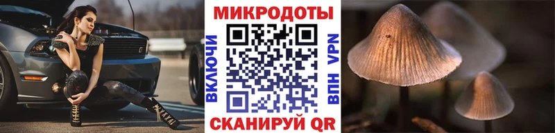 что такое наркотик  Благовещенск  Псилоцибиновые грибы Psilocybe 